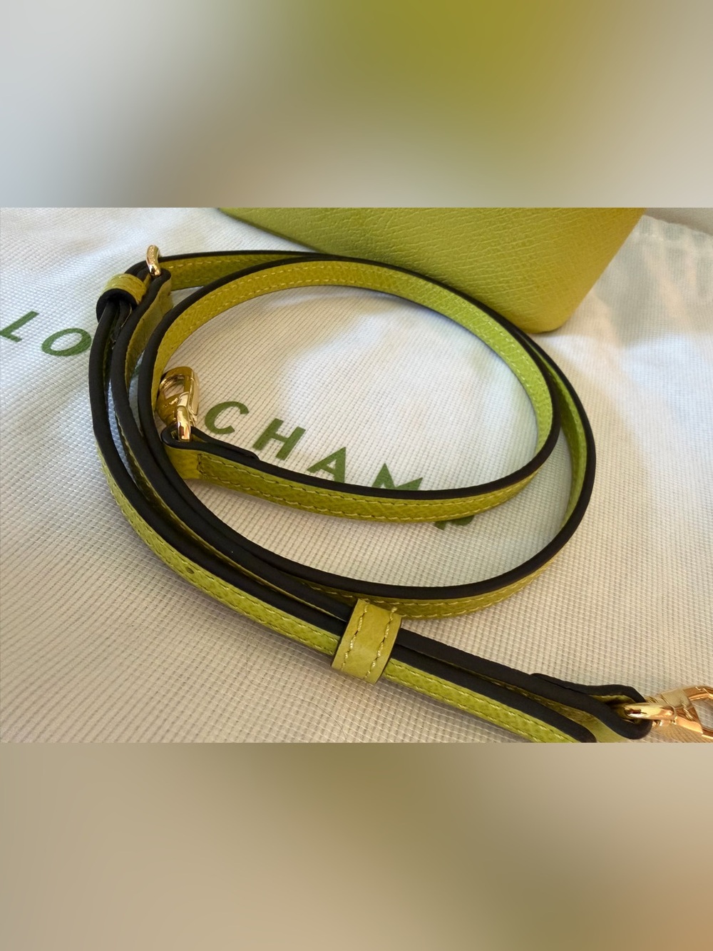 Longchamp Épure Logo Detailed XS Tote Bag - Picture 5 of 10